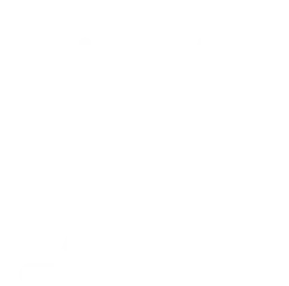 image31